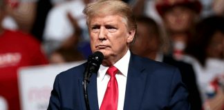 Trump Fires Back With Blunt 6-Word Statement After Epstein Photos Resurface