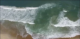 Spot with No Waves at the Beach? Why You Should Stay Away