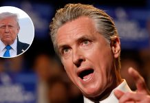 Gavin Newsom roasts Donald Trump after bizarre post