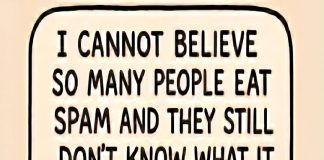 The Shocking Truth Behind What SPAM Really Stands For