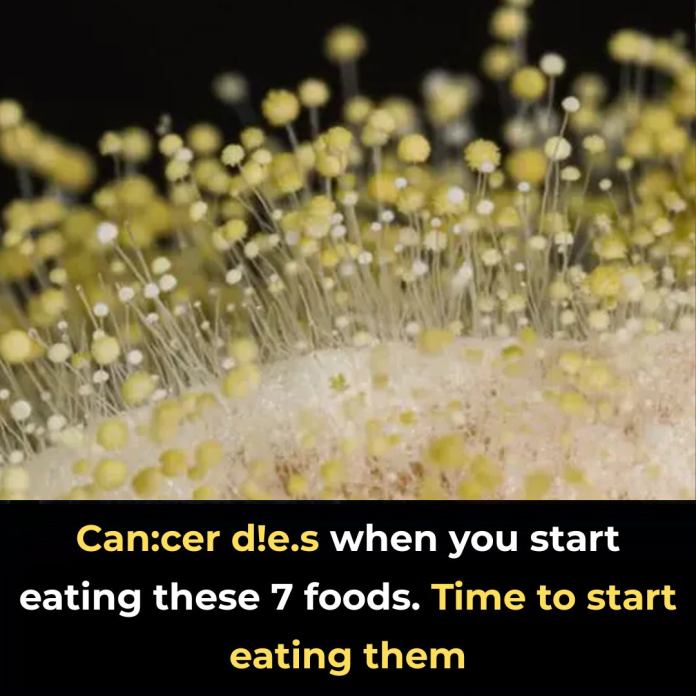 7 powerful anti-cancer foods you should start including in your diet -
