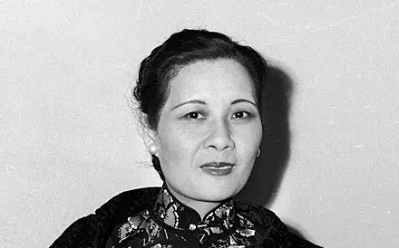 A legacy of health: Soong Mei-ling - longevity and fight against cancer -
