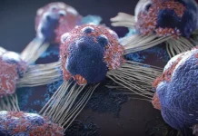 7 powerful anti-cancer foods you should start including in your diet