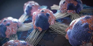 7 powerful anti-cancer foods you should start including in your diet