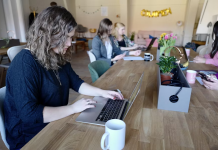 I Fed A Hungry Veteran And His Dog—A Month Later, My Boss Called Me In And My Life Turned Upside Down