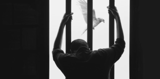 After 12 Years Behind Bars, His Last Wish Broke Every Heart In The Yard