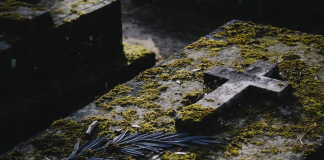 A Hidden Camera Revealed Who Was Stealing The Roses From His Wife’s Grave — But Nothing Could Have Prepared Him For Why