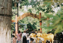 A Little Girl Was Playing With An Otter—Then The Zookeeper Told Her Parents To Run To The Hospital