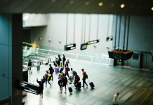 A Service Dog Attacked A Little Girl At The Airport—But What He Found Inside Her Teddy Bear Saved Her Life