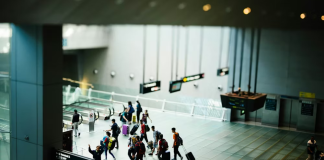 A Service Dog Attacked A Little Girl At The Airport—But What He Found Inside Her Teddy Bear Saved Her Life