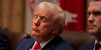 โCommander in sleepโ: Trump mocked after appearing to fall asleep in cabinet meeting