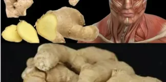 What Happens to Your Body with Daily Ginger