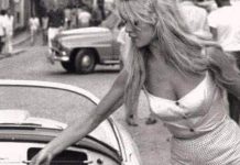 Timeless stars: A tribute to those who shone bright