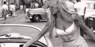 Timeless stars: A tribute to those who shone bright