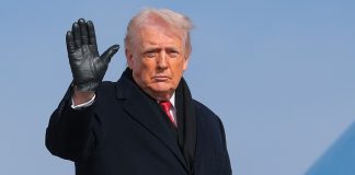 Former CIA spy says he knows ‘true reason’ Trump wants to take over Greenland