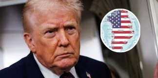 Trump orders top generals to draw up ‘Greenland invasion plan’