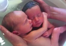 Newborn twins won’t stop cuddling like they did in the womb