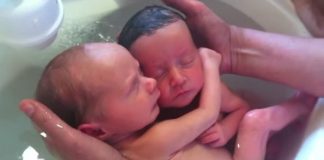 Newborn twins won’t stop cuddling like they did in the womb
