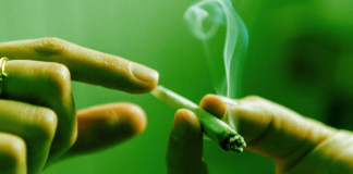 Scientists Have Bad News If You’re Still Smoking Weed at 30