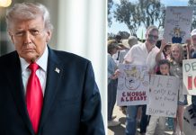 Here’s every celebrity who showed up for the ‘No Kings’ protest