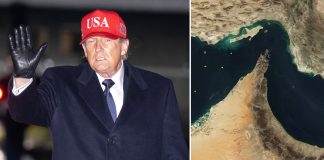 Trump’s 2-word warning to allies if they refuse to help open the Strait of Hormuz