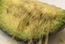 Why Your Avocado Has Those Stringy Fibers — And What They Actually Mean