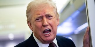 Trump considering leaving NATO and calls out two countries for not helping in Iran war