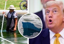 Trump issues prison sentence threat over Reflecting Pool vandalism