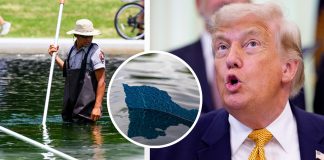Trump issues prison sentence threat over Reflecting Pool vandalism