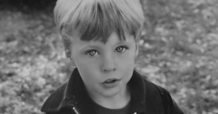 How Ricky Nelson saved the lives of his twin boys on the mysterious plane accident that led to his own death